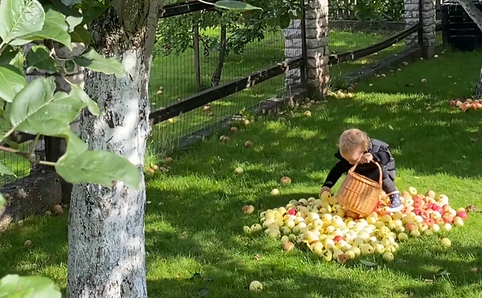 Gyvenk kaip galima švariau. Tvaresnį gyvenimą pasirinkusi Jonuškų šeima ir fermoje gyvenanti Annos šeima