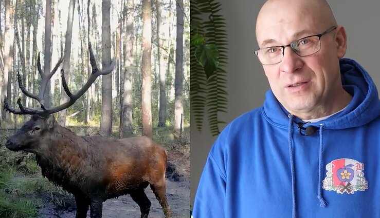 Neįprasta gėrybė miškuose – elnio ar briedžio ragai: rinkimo entuziastas pasakoja, kad pomėgis padėjo išspręsti sveikatos problemas