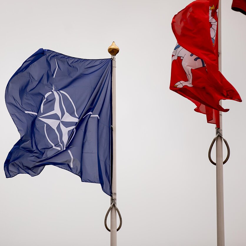 D. Umbraso  / LRT nuotr., NATO vėliava