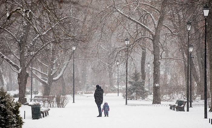 Labas rytas, Lietuva I d. Meteorologas Dikčius: artimiausiomis dienomis skėčių dar prireiks, bet šaltukas dar turėtų grįžti