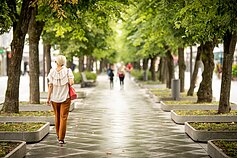 Kaunas