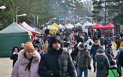 Palangoje vyksta Stintų šventė