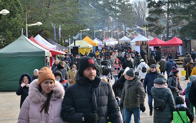 Palangoje vyksta Stintų šventė