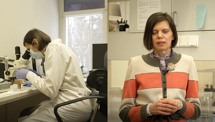 Rasos vadovaujamos laboratorijos vizija – jutikliai, leisiantys robotams pajusti skonį ir kvapą