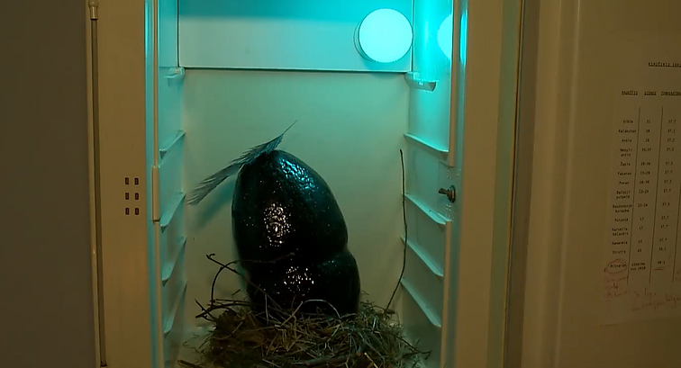 Mitinių būtybių įrodymai: Vilniaus mokytojų namuose vaikų laukia nauja potyrių erdvė