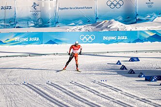 Modestas Vaičiulis