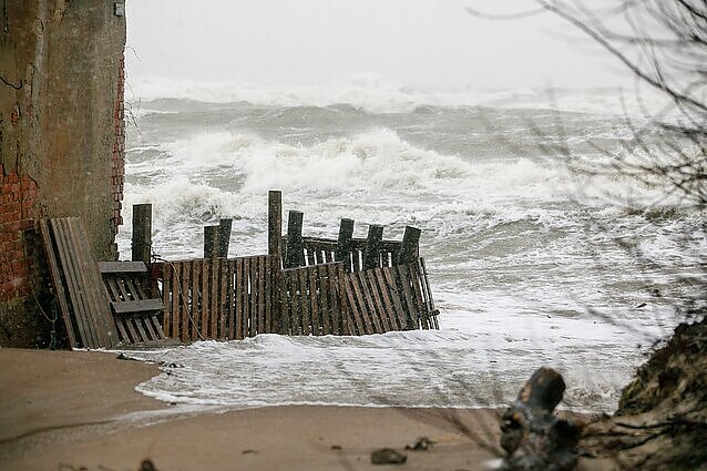Žinios. Galinga audra smogia Lietuvai: ugniagesiai šalina nulūžusius medžius, uostas riboja laivybą