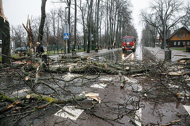 Panorama. Stichijos padariniai pajūryje: skalautos kopos, užlietos gatvės, uostas apribojo laivybą (su vertimu į gestų k.)