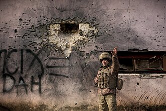 Ukrainos karys