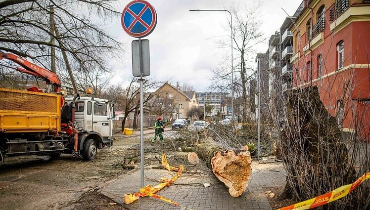 Per Lietuvą vakar ūžusi audra Franklinas vėjus kėlė iki 30 m/s, žiema primins, kad vasaris dar nesibaigė