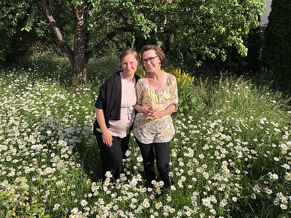 Kaip įsirengti žydinčias pievas?