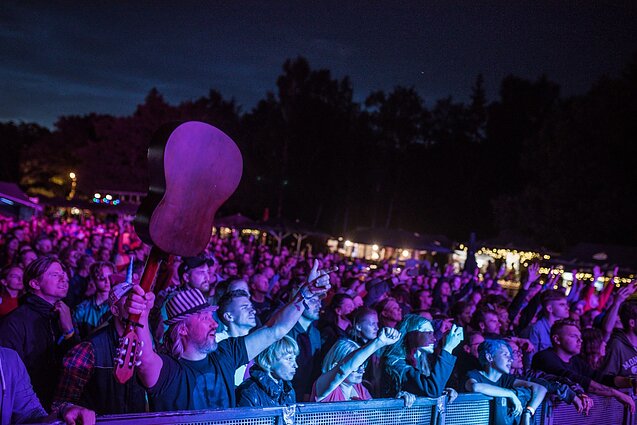 Festivalio „Bliuzo naktys“ akimirka