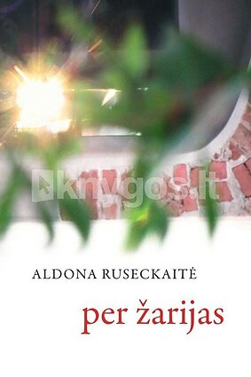 Aldonos Ruseckaitės knygos viršelis