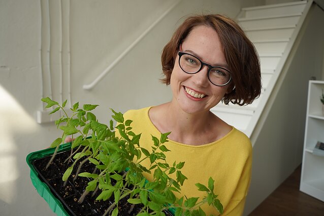 Ruošiamės pomidorų sėjai ant palangės