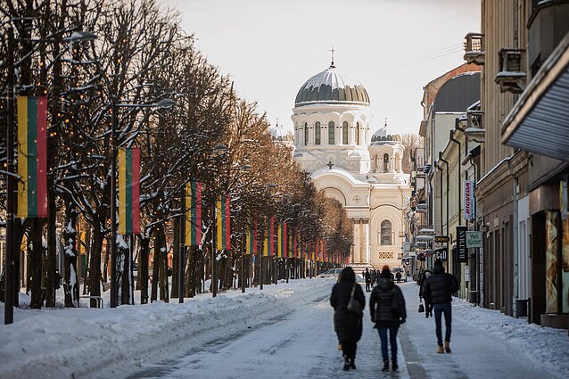 7 Kauno dienos. Skambūs Kauno varpai, pažintis su lėlių teatru bei pokalbis su lakūnu Rolandu Kalinausku