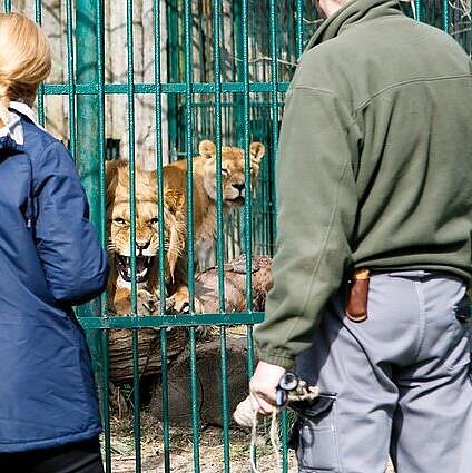 Vienkartinė planeta. Kaip turėtume vertinti gyvūnų gerovę zoologijos soduose?