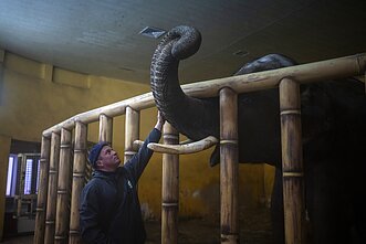 Rusijos karas Ukrainoje