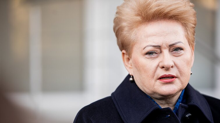 Žinios. Grybauskaitė: man gėda girdėti, kai NATO valstybių vadovai ir pareigūnai veblena, kad „negali veltis į konfliktą“