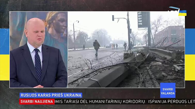 Politologė apie Grybauskaitės pasisakymą dėl NATO neveiksnumo: įdomu, ar tą patį sakytų, jei būtų prezidentė