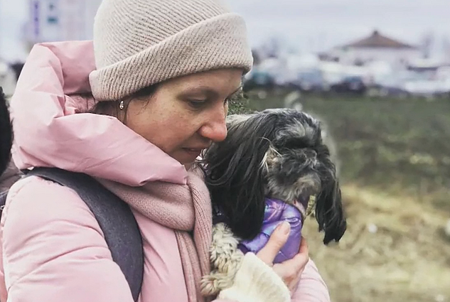 Gyūnų globos organizacijos ieško būdų padėti gyvūnams Ukrainoje: kai kur prieglaudos nebeturi nei maisto, nei vandens