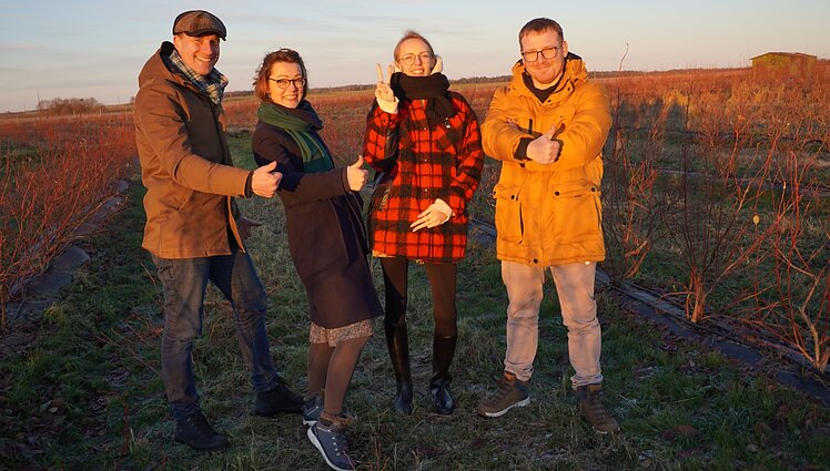 Teisingas genėjimas - tiesus kelias į gausesnį šilauogių derlių