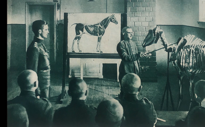 Sovietmečiu užmirštas veterinarijos mokslas: susirgus gyvūliui, kviesdavo ne specialistą, o burtininką