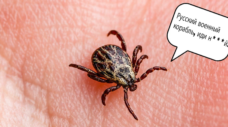 Dviračio žinios. Meškos atsiribojimas nuo Rusijos, Ukrainą palaikanti Darbo partija bei Rusija be feisbuko