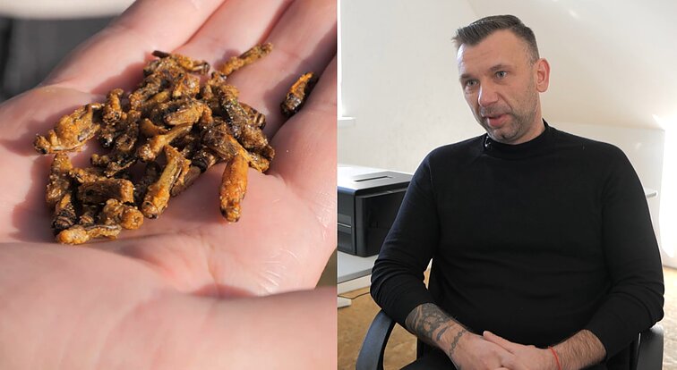 7 metai sekinančio darbo Norvegijoje atsipirko: Donatas grįžo į gimtąjį kaimą ir šiandien augina maistui skirtus svirplius