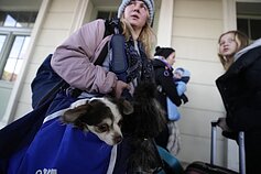 Karas Ukrainoje, žmonės gelbėja ir savo gyvūnus