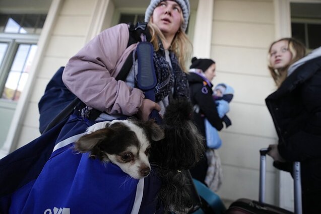 Karas Ukrainoje, žmonės gelbėja ir savo gyvūnus