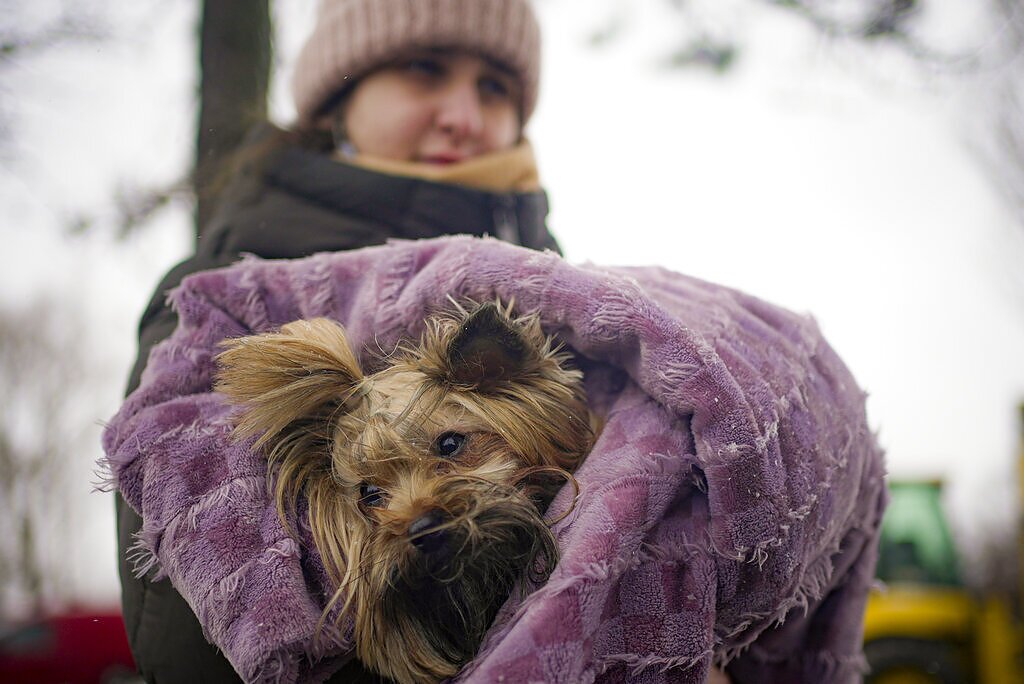 Karas Ukrainoje, žmonės gelbėja ir savo gyvūnus