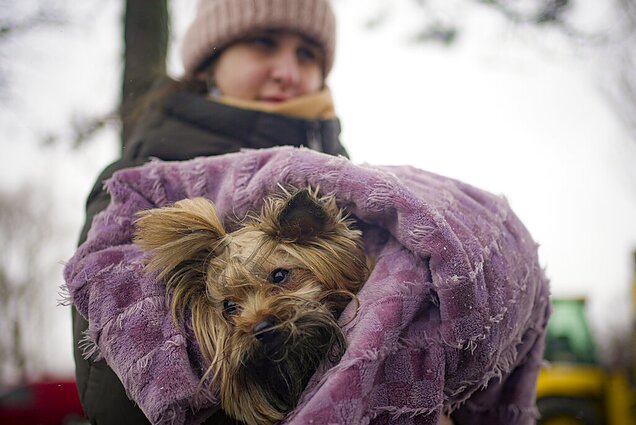 Karas Ukrainoje, žmonės gelbėja ir savo gyvūnus