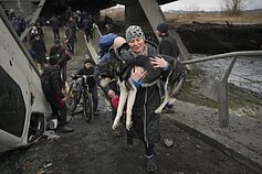 Karas Ukrainoje, žmonės gelbėja ir savo gyvūnus