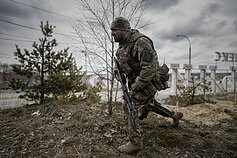 Ukrainos karys