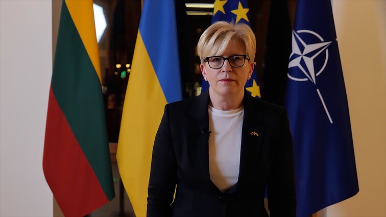 Šimonytė sveikina Kovo 11-osios proga: tikiu, kad laisvas yra tas, kuris turi drąsos kovoti už laisvę