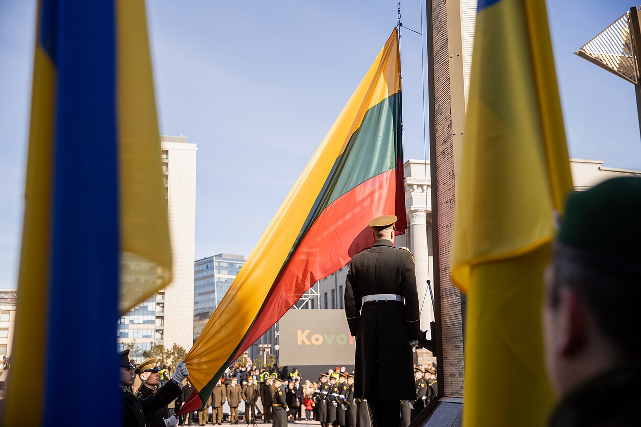 Флаги Литвы и Украины