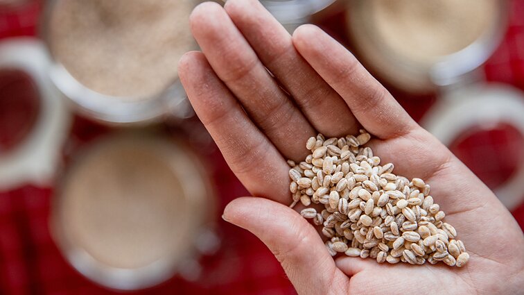 Paramą Ukrainai siunčiantys žemdirbiai nerimauja dėl užpultos šalies žemės ūkio, Lietuvoje ūkiai gali stabdyti plėtrą