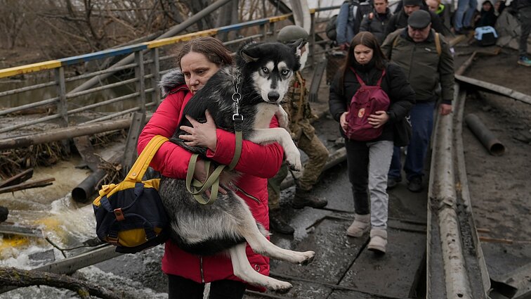 Ukrainoje benamių gyvūnų vis daugėja: nors į Lietuvą atvežami tik pavieniai, priglobti augintinį dabar tinkamas metas