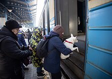 Ukrainiečių evakuacija Ukrainiečių evakuacija
