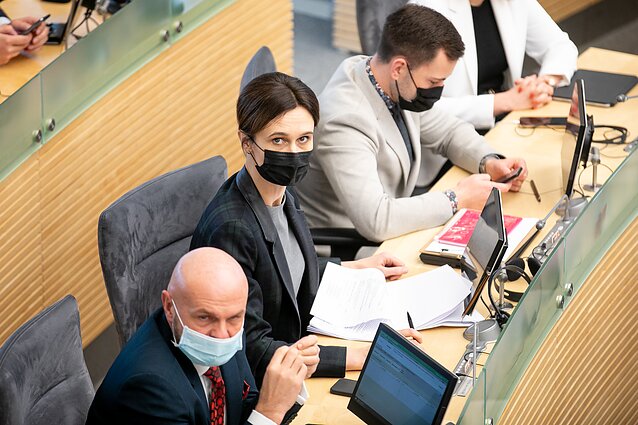 Čmilytė-Nielsen apie gynybos biudžeto didinimą: tai būtų adekvatus ir greitas sprendimas