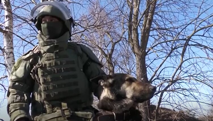 Karas Ukrainoje. Karas Ukrainoje.