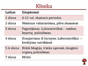 Apsinuodijimo žalsvąja musmire eiga