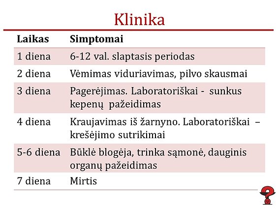 Apsinuodijimo žalsvąja musmire eiga