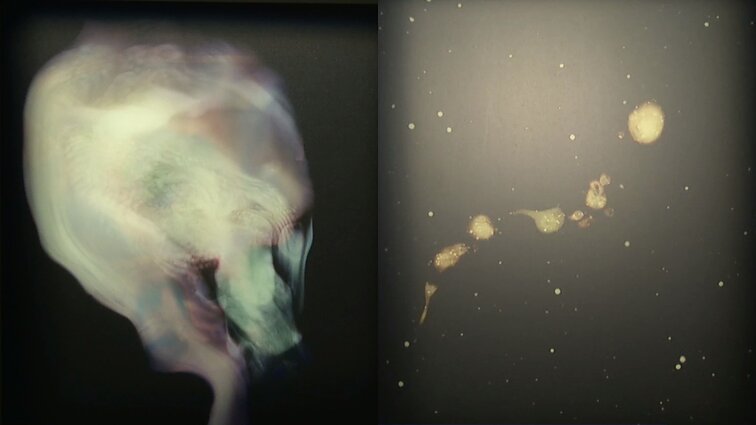 Prospekto galerijoje – latvių menininkės darbai, atskleidžiantys analoginės fotografijos grožį ir taršą