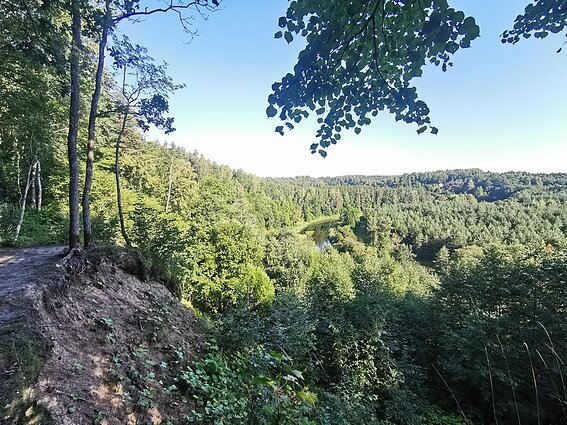 Šilpelkė Hiking Trail