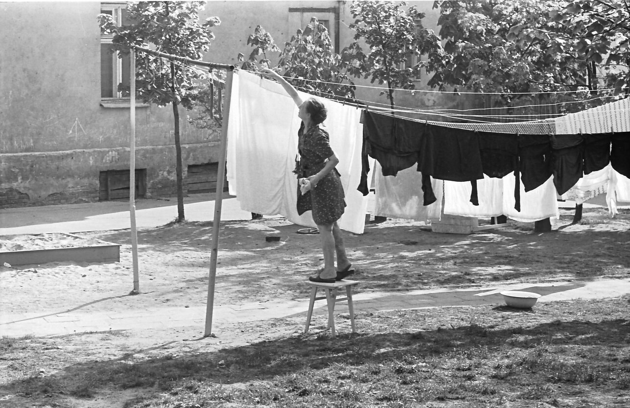 Algirdo Šeškaus nuotrauka