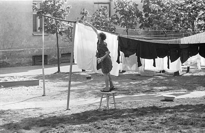 Algirdo Šeškaus nuotrauka