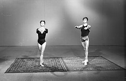 Algirdo Šeškaus nuotrauka