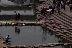 Algirdo Šeškaus nuotrauka