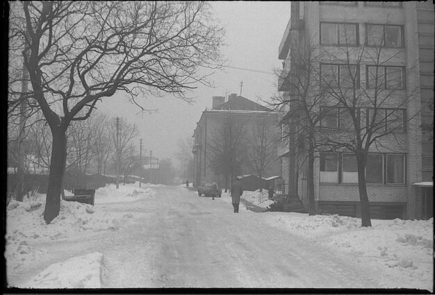 Algirdo Šeškaus nuotrauka